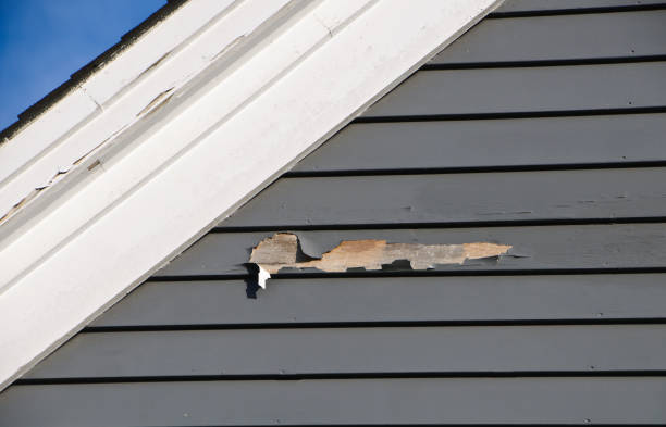 Best Siding Painting and Refinishing  in Gold Key Lake, PA